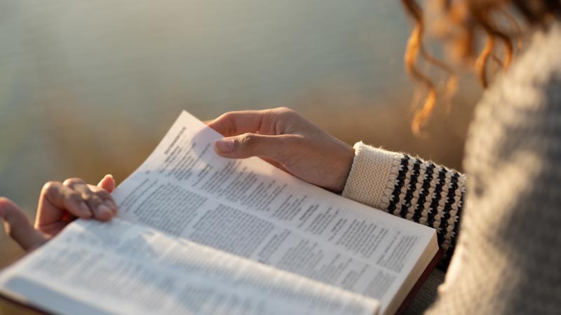 Scripture and reflection, representing honest questions of faith.